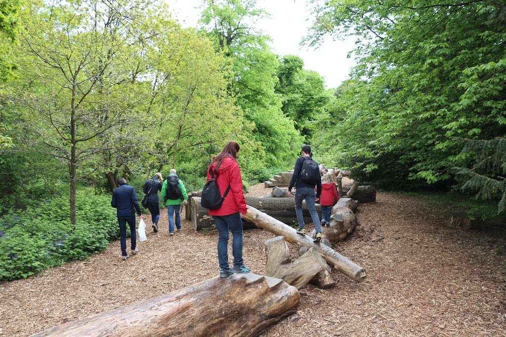 Kew gardens log trail | Richmond TW9 3AQ, UK
