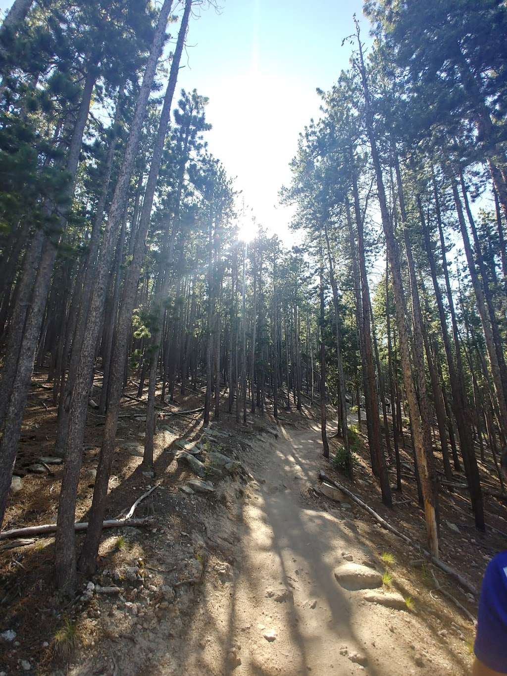 Alderfer/Three Sisters Park-Summit Trail | Evergreen, CO 80439, USA