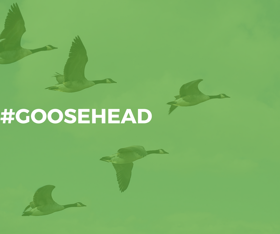 Goosehead Insurance Patrick Collins | 100 E Royal Ln Ste 125, Irving, TX 75039, USA | Phone: (214) 838-5422