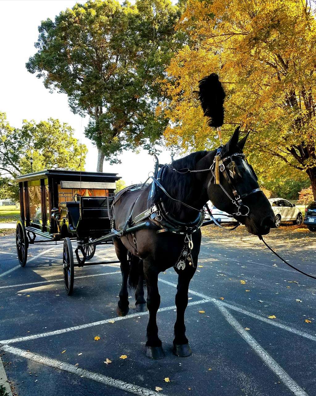 Horse & Carriage Ltd | 3210 Old Mocksville Rd, Salisbury, NC 28144, USA | Phone: (704) 633-0852