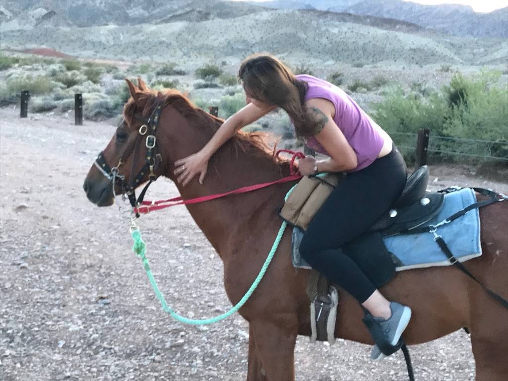 Silver State Horseback Riding Tours | Rainbow Gardens, Henderson, NV 89011 | Phone: (702) 805-1911