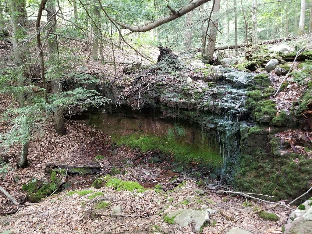 Natural Lands Trusts Bear Creek Preserve | 47 Rabbit Run Ln, Bear Creek Village, PA 18702, USA | Phone: (570) 647-9175