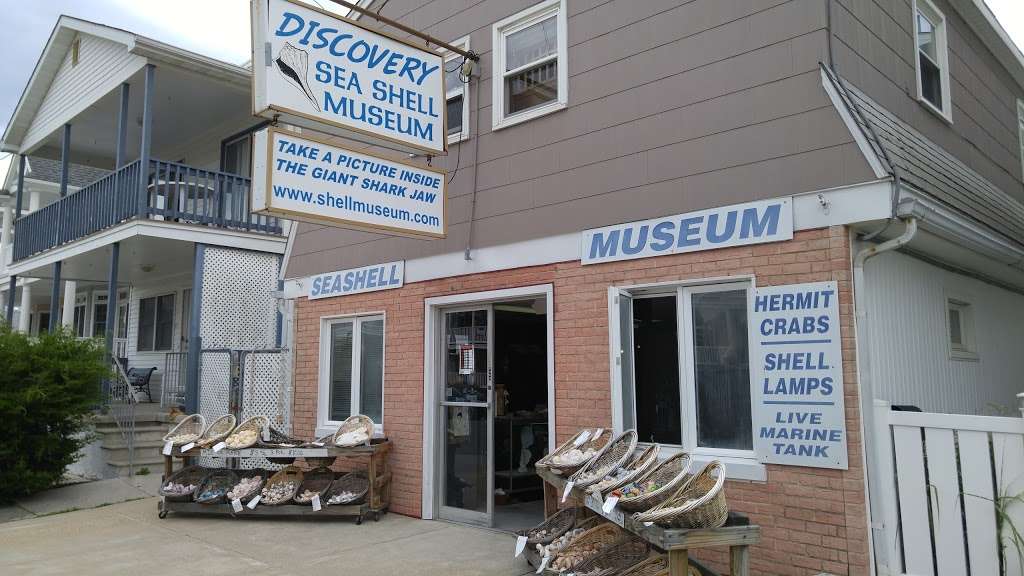 Discovery Seashell Museum | 2721 Asbury Ave, Ocean City, NJ 08226 | Phone: (609) 398-2316