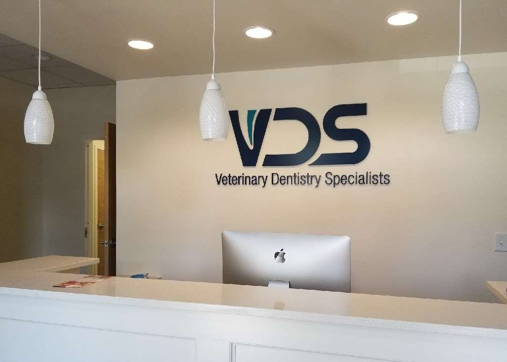 Veterinary Dentistry Specialists | 2061 Briggs Rd Suite 403, Mt Laurel, NJ 08054, USA | Phone: (856) 242-9253
