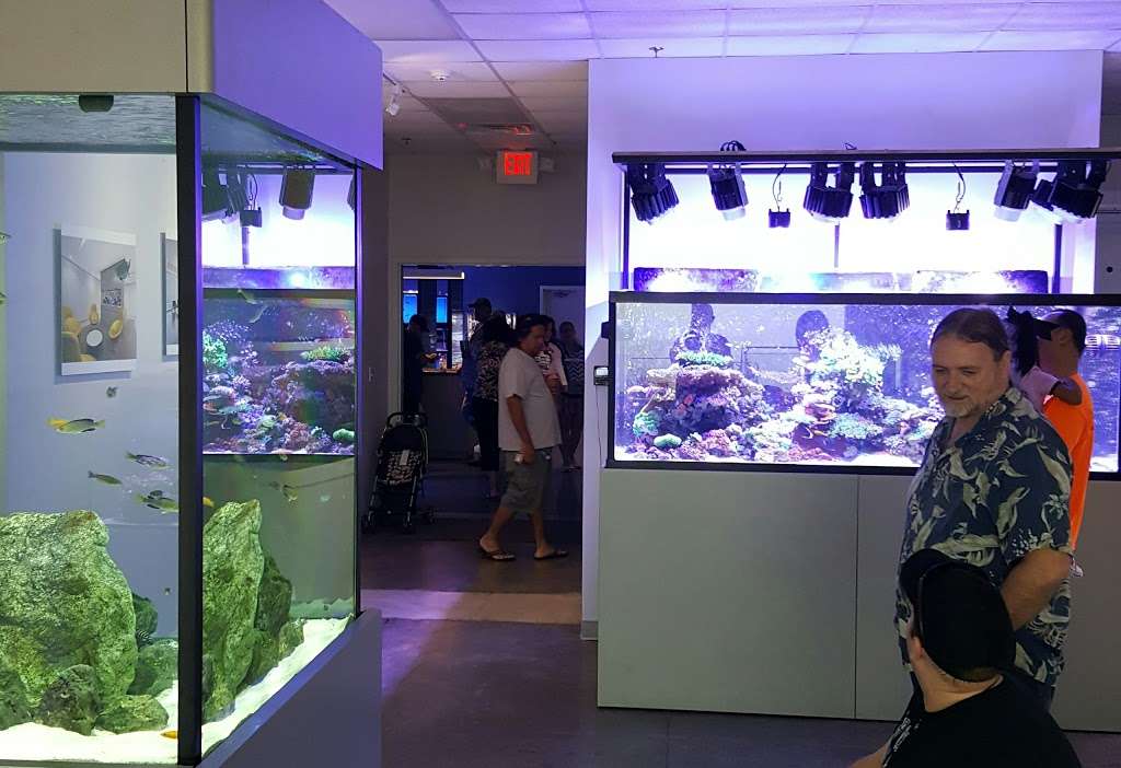 5000 Aquarium Design Group Texas HD