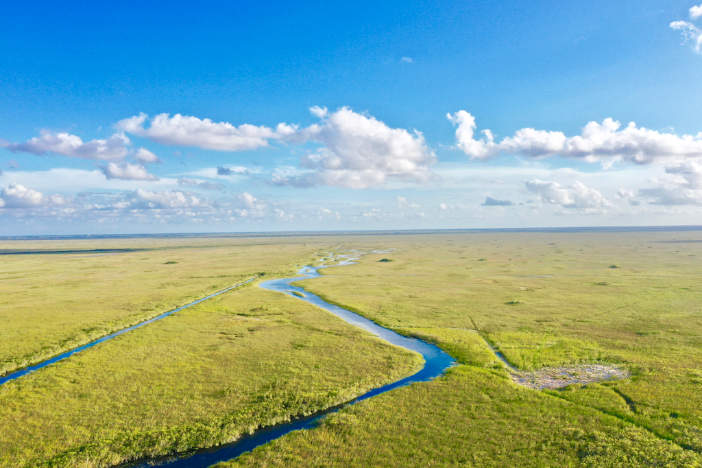 Airboat Rides Miami | 24050 SW 8th St, Miami, FL 33194, USA | Phone: (305) 559-2255