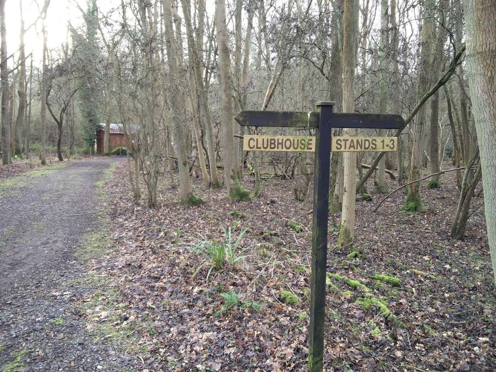 Woodland Pursuits | Ironsbottom, Sidlow, Reigate RH2 8QG, UK | Phone: 07770 473020