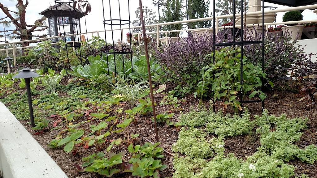 Rogers Gardens | 2301 San Joaquin Hills Rd, Corona Del Mar, CA 92625, USA | Phone: (949) 640-5800 Rogers Gardens | 2301 San Joaquin Hills Rd, Corona Del Mar, CA 92625, USA | Phone: (949) 640-5800
