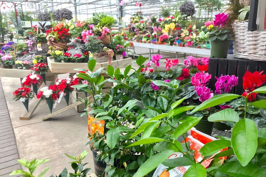 Platt Hill Nursery | 2400 Randall Rd, Carpentersville, IL 60110, USA | Phone: (847) 428-6767