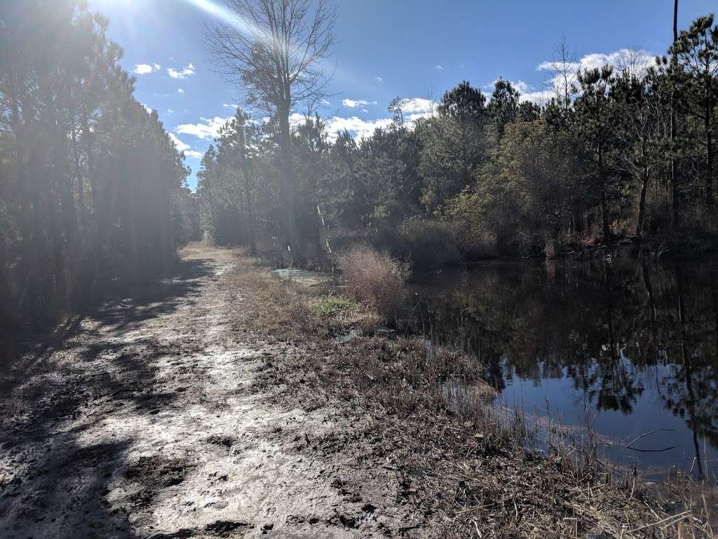 Tubman Road Hiking Trail | 4, Taylors Island, MD 21622, USA