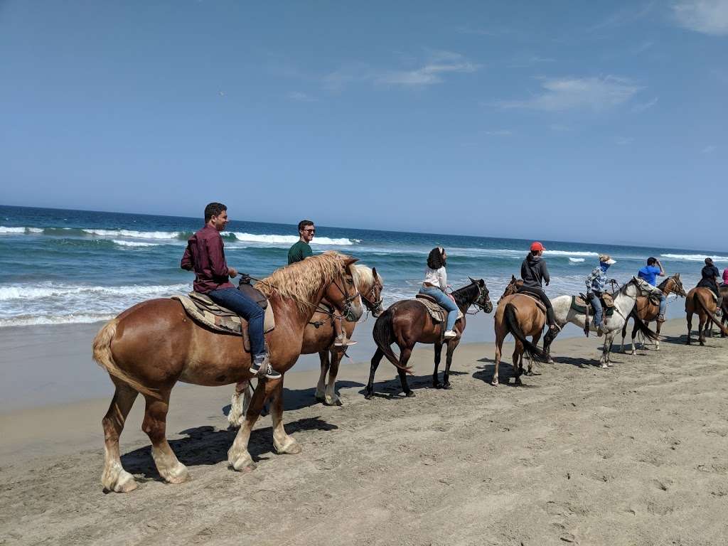 San Diego Beach Rides, Horse Rentals & Wagon Rides | 2606 Hollister St, San Diego, CA 92154, USA | Phone: (619) 947-3152