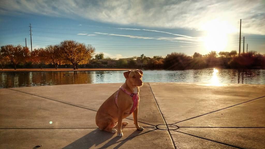 Dog Park at Crossroads | 2155 E Knox Rd, Gilbert, AZ 85296, USA | Phone: (480) 503-6200