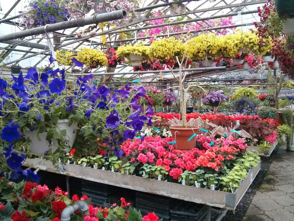 Otts Wholesale Greenhouse Inc | 943 Gravel Pike, Schwenksville, PA 19473 | Phone: (610) 287-8144