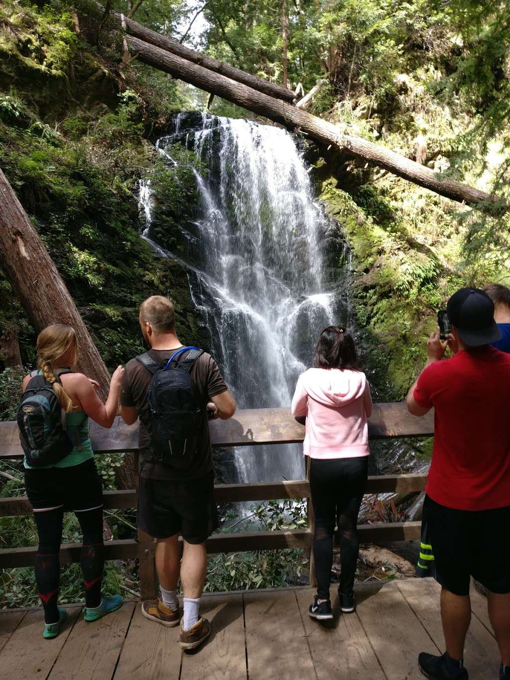 West Waddell Creek State Wilderness | Davenport, CA 95017