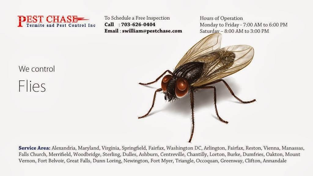 Pest Chase Termite and Pest Control Inc. | 4103 Duvawn St, Alexandria, VA 22310 | Phone: (703) 626-0404