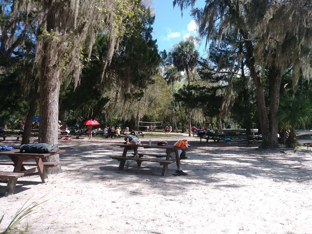 Silver Glen Springs Recreation Area | 5271 FL-19, Salt Springs, FL 32134, USA | Phone: (352) 236-0288