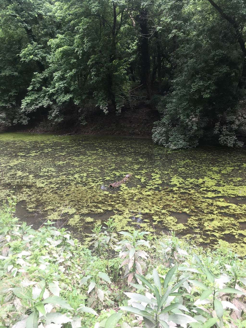 Shenandoah Canal | Harpers Ferry, WV 25425