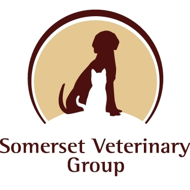 Somerset Veterinary Hospital | 274 US Hwy 202/206 North, Pluckemin, NJ 07978, USA | Phone: (908) 658-4434