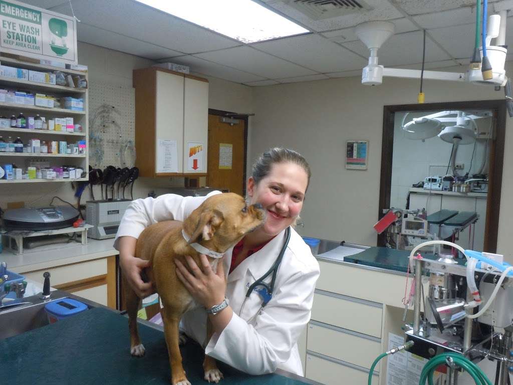 Burke Animal Clinic Ltd. | 6307 Lee Chapel Rd, Burke, VA 22015, USA | Phone: (703) 569-9600