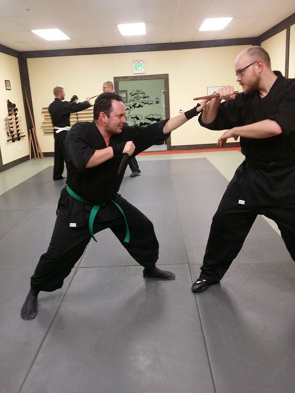 Todai Bujinkan Dojo | 6595 Collins Dr c2, Moorpark, CA 93021, USA | Phone: (805) 532-1794