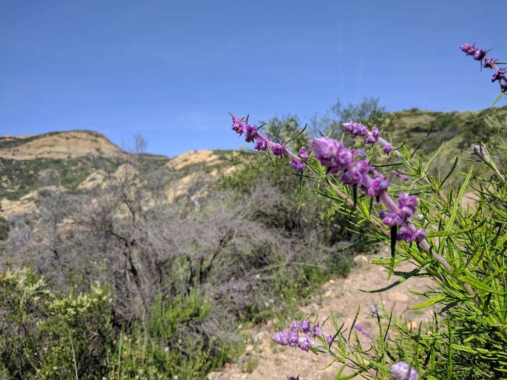 Red Rock Canyon Park, Mountains Recreation & Conservation Author | 23601 W Red Rock Rd, Topanga, CA 90290 | Phone: (310) 589-3200