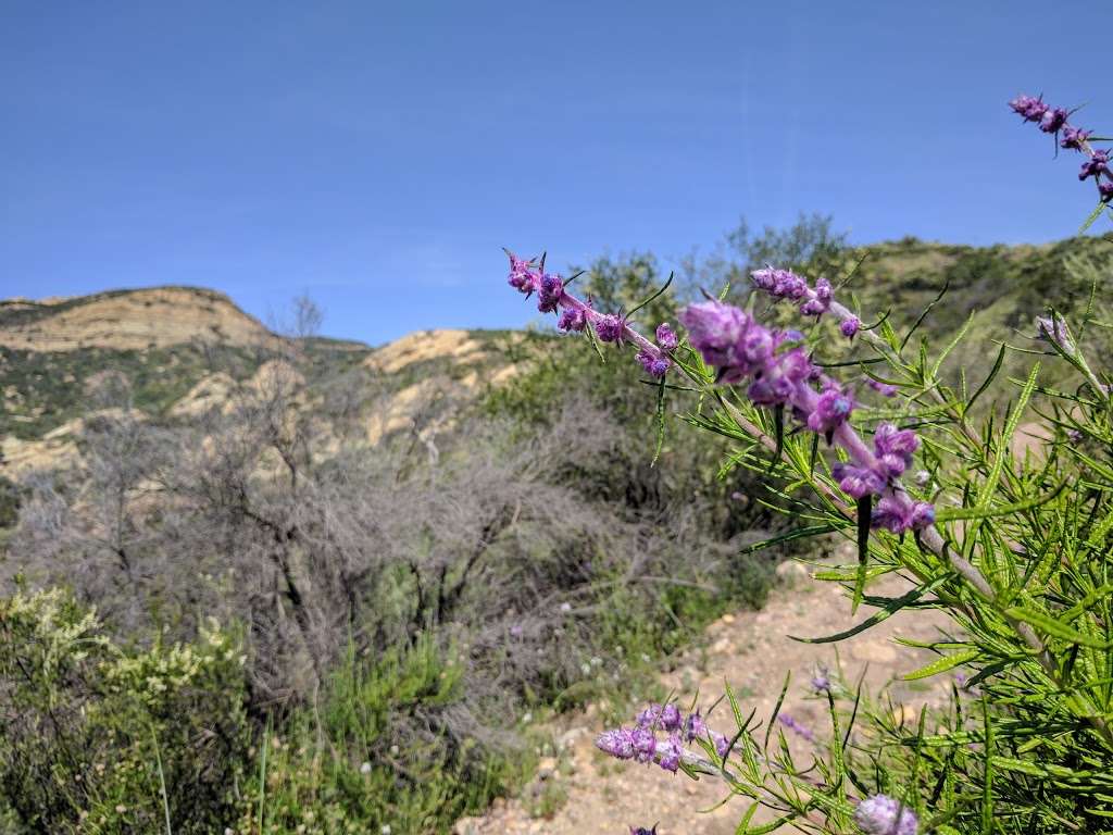 Red Rock Canyon Park, Mountains Recreation & Conservation Author | 23601 W Red Rock Rd, Topanga, CA 90290, USA | Phone: (310) 589-3200