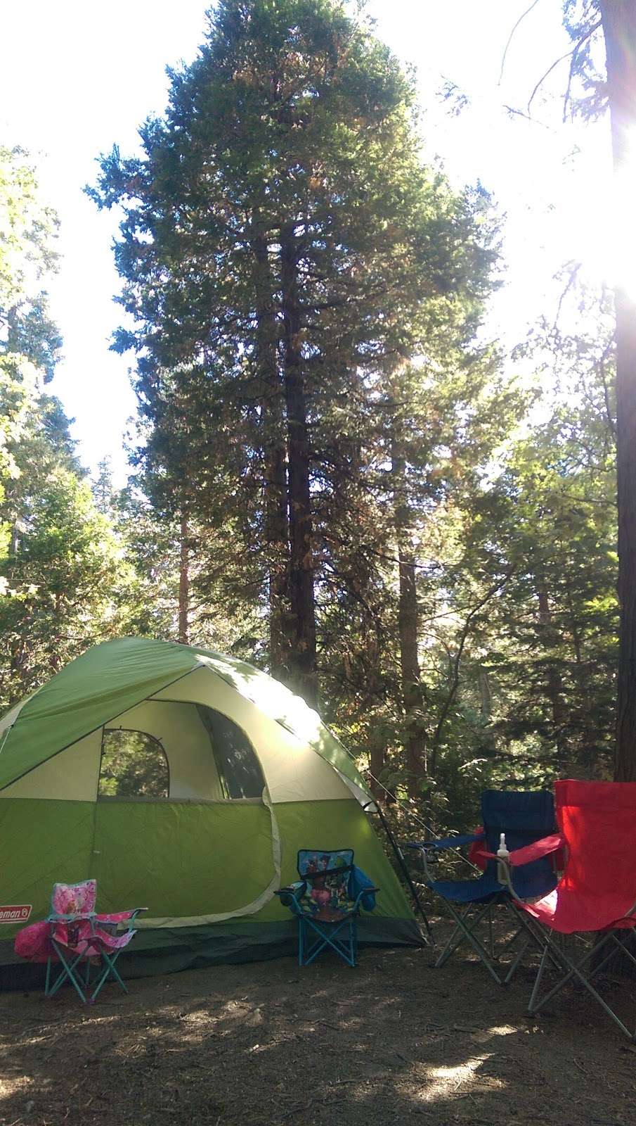 Dogwood Family Campground | Lake Arrowhead, CA 92352, USA | Phone: (909) 336-6717