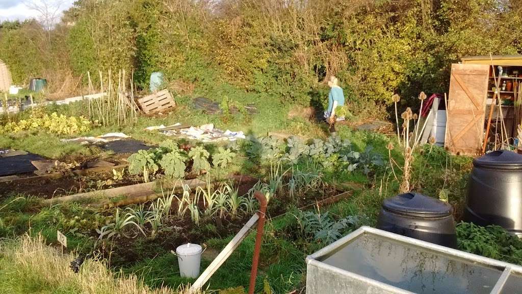 Hertingfordbury Allotments | Hertingfordbury Rd, Hertford SG14 2LG, UK