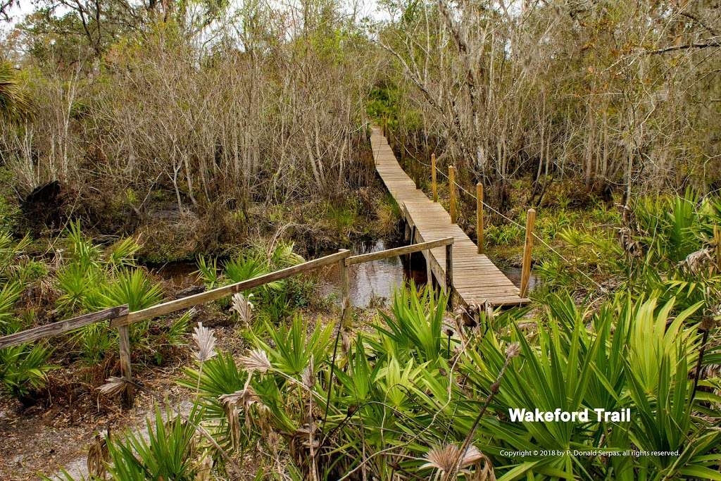 Tiger Creek Preserve | 674 Pfundstein Rd, Babson Park, FL 33827, USA | Phone: (863) 635-7506