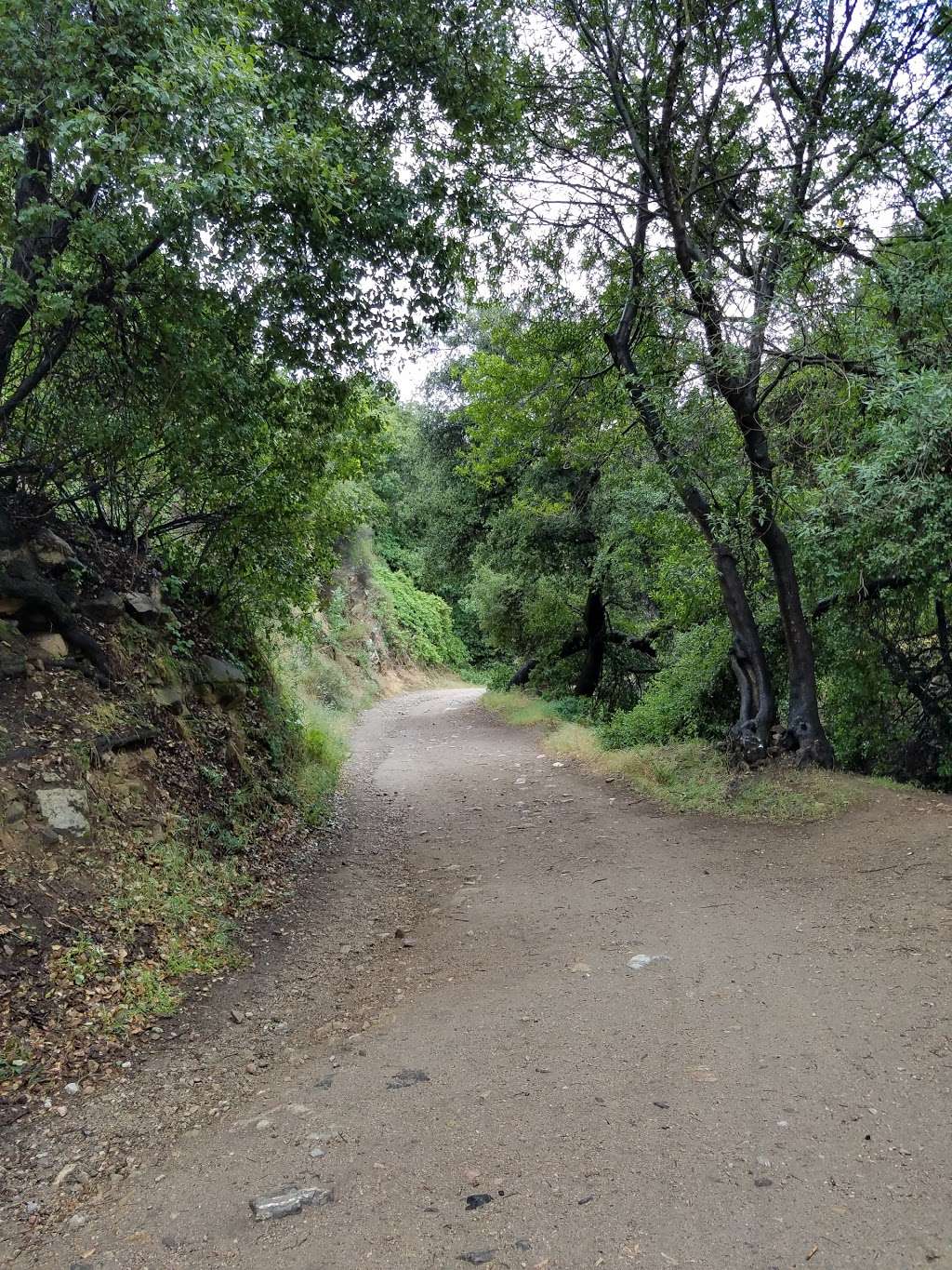 Haines Canyon Park | Haines Canyon Ave, Tujunga, CA 91042, USA | Phone: (818) 756-8188