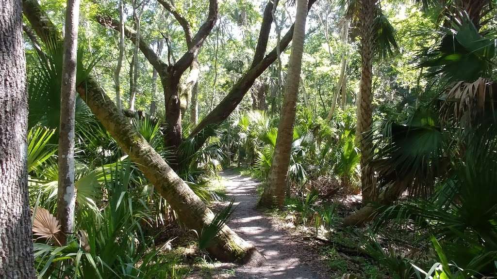 Black Bear Wilderness Trailhead | 5298 Michigan Ave, Sanford, FL 32771, USA | Phone: (407) 665-2211