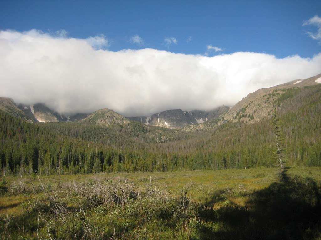 meadow trail | Cirque Meadow Trail, Bellvue, CO 80512, USA