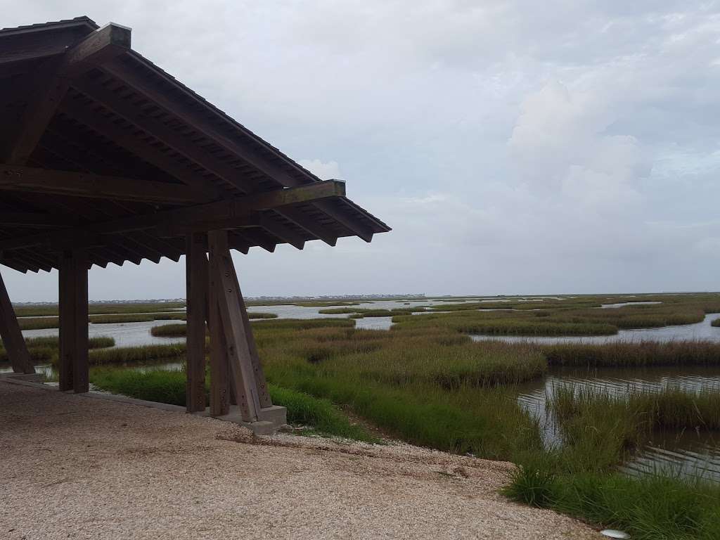 John M. OQuinn Nature Preserve | 2441 Hwy 6, Hitchcock, TX 77563