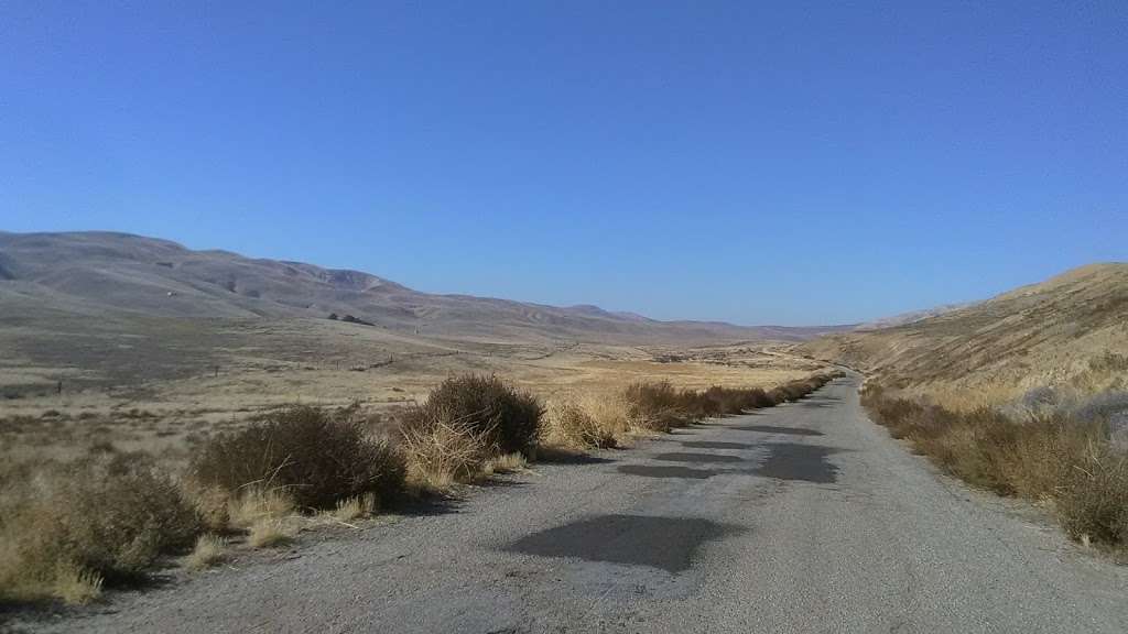 Bitter Creek National Wildlife Refuge | California 166 & Cerro Noroeste Rd, Maricopa, CA 93252, USA | Phone: (805) 644-5185
