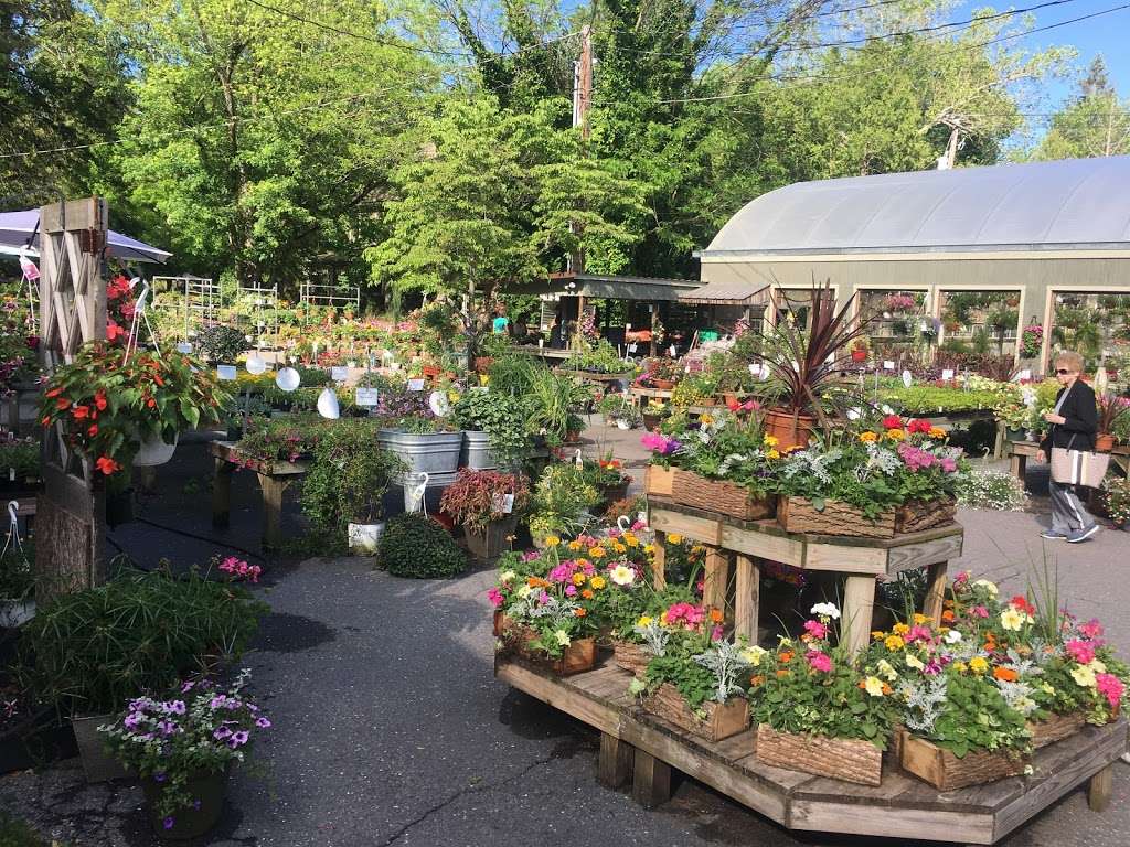 Berlins Greenhouses | 6081 Park Rd, Berwick, PA 18603, USA | Phone: (570) 752-4255