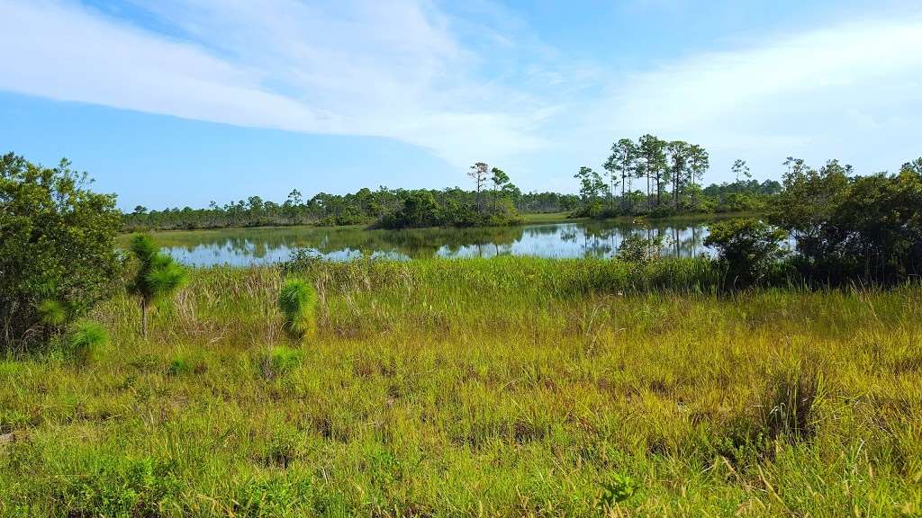 John C. and Mariana Jones/Hungryland Wildlife and Environmental  | State Hwy 711, Indiantown, FL 34956, USA