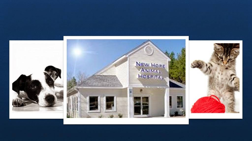 New Hope Animal Hospital | 5016 Durham-Chapel Hill Blvd, Durham, NC 27707 | Phone: (919) 490-2000