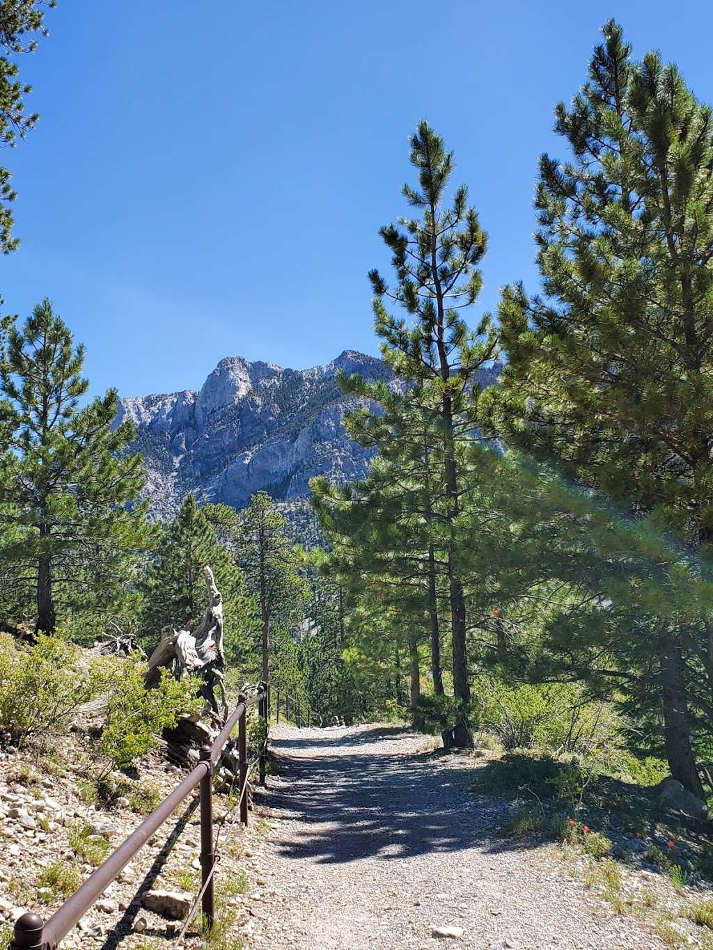 Upper Bristlecone Trail Head | Bristlecone Trail, Las Vegas, NV 89124, USA