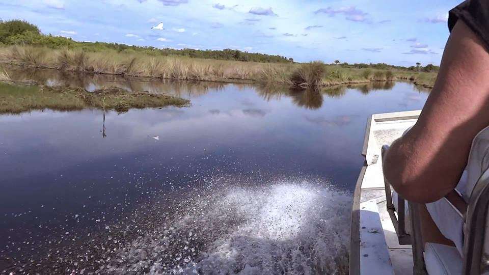 Miami Airboat | 17696 SW 8th St, Miami, FL 33194, USA | Phone: (888) 893-4443