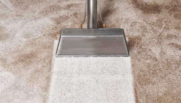 The Carpet Doctor | 21 Beverly Dr, Middletown, NY 10941, USA | Phone: (845) 361-5859