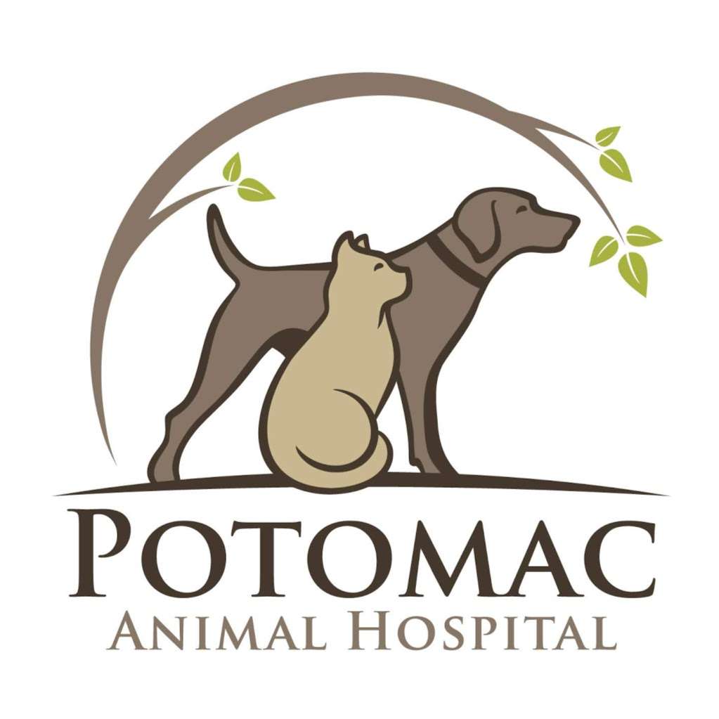 Potomac Animal Hospital Inc | 10020 River Rd, Potomac, MD 20854 | Phone: (301) 299-4142