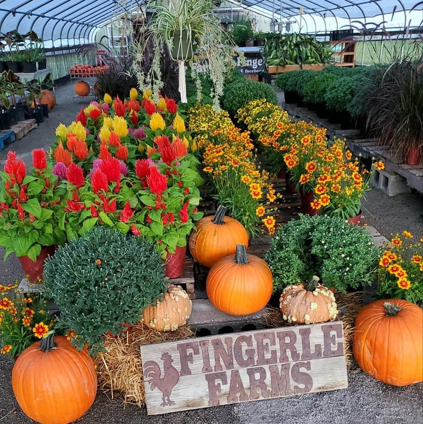 Fingerle Farms | 10229 Bryie Rd, Churubusco, IN 46723, USA | Phone: (260) 437-1951