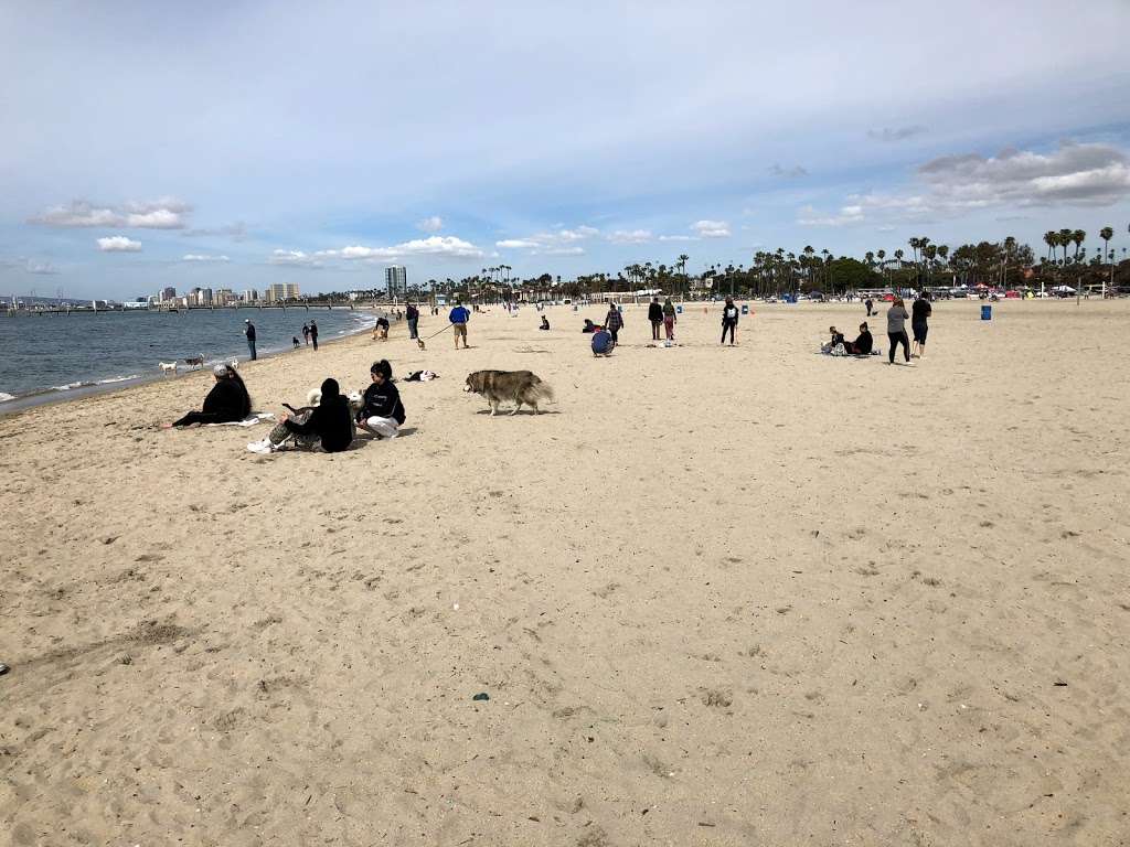 Rosies Dog Beach | 5000 E Ocean Blvd, Long Beach, CA 90803, USA | Phone: (562) 570-3100
