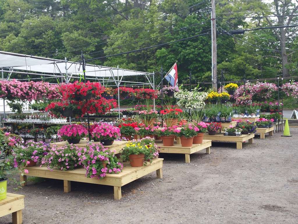 Gordon Florist & Greenhouses | 24 Essex Rd, Ipswich, MA 01938, USA | Phone: (978) 356-2955