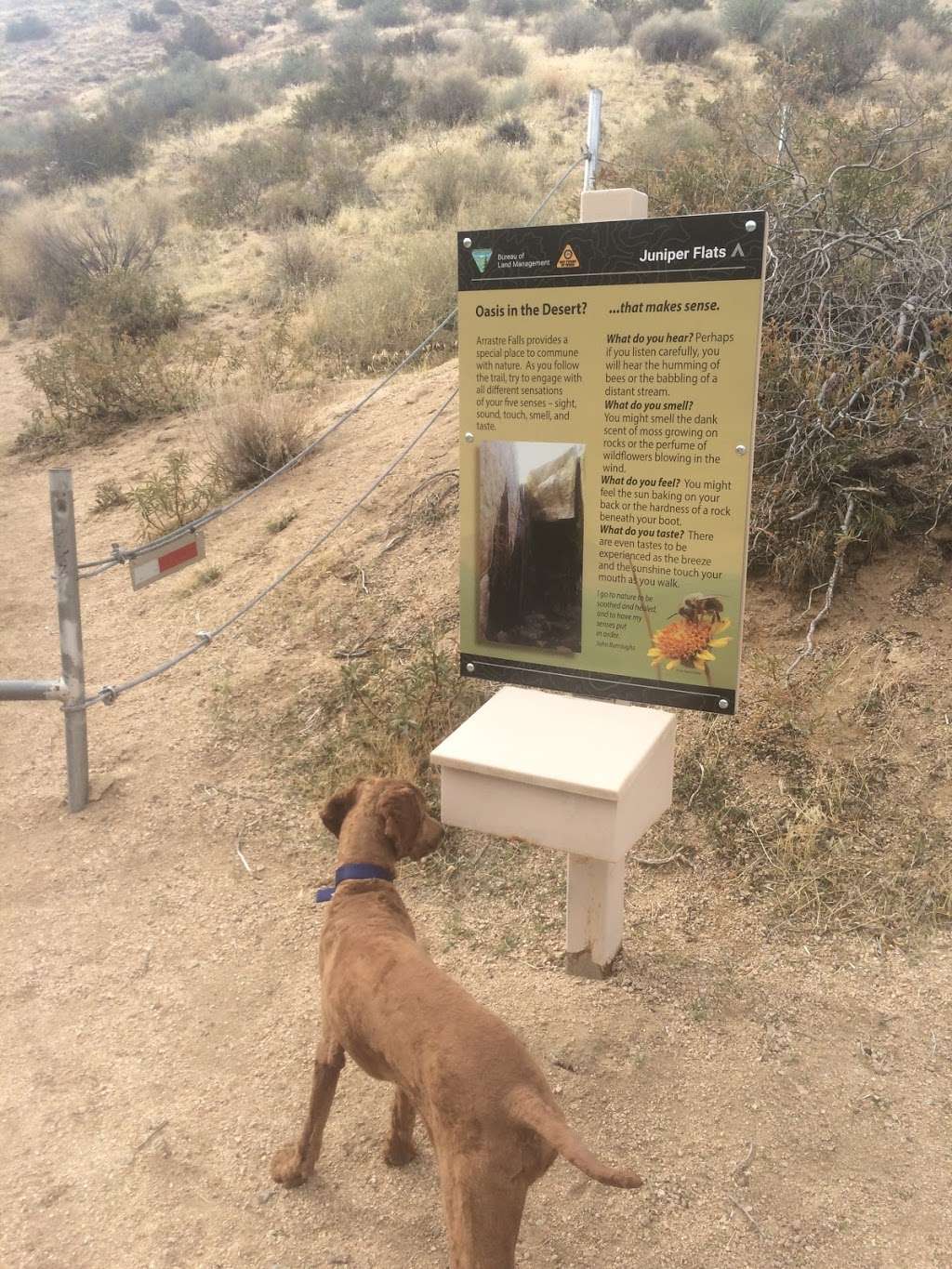 Arrastre Falls Kiosk | Apple Valley, CA 92308, USA