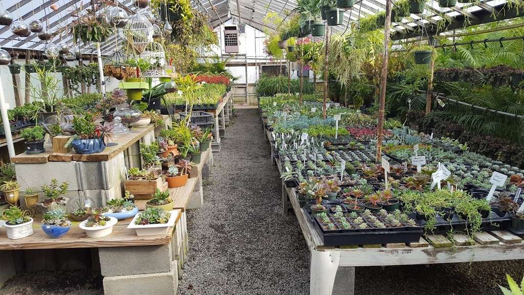 Oakdale Greenhouses, LLC | 5626 Statesville Rd, Charlotte, NC 28269, USA | Phone: (704) 596-4052