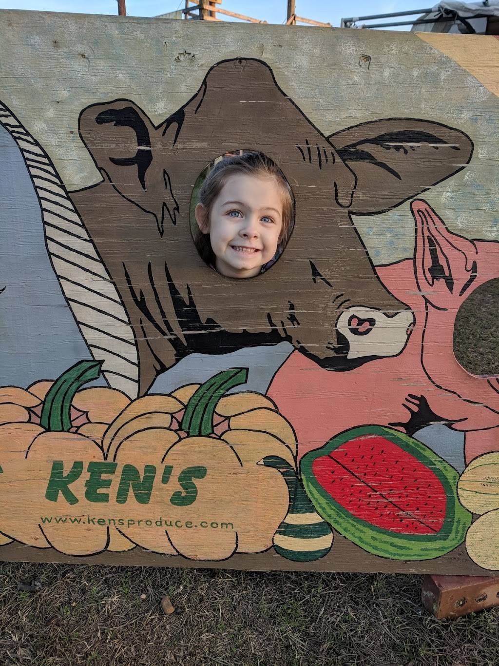 Kens Produce and Garden Center | 3175 Benson Rd, Garner, NC 27529, USA | Phone: (919) 779-4765