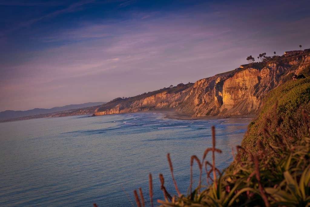 Scripps Coastal Reserve | 9400 La Jolla Farms Rd, La Jolla, CA 92037, USA | Phone: (858) 534-2077