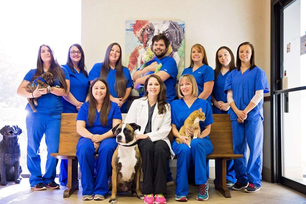 Advanced Pet Care of Clear Lake | 15116 TX-3 Ste 2A, Webster, TX 77598 | Phone: (281) 486-1509