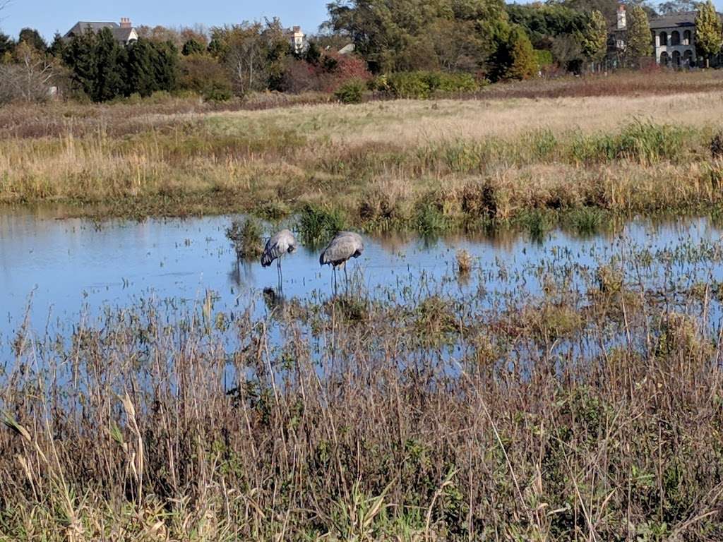 Middlefork Savanna Forest Preserve | 1401 Middlefork Dr, Lake Forest, IL 60045, USA | Phone: (847) 367-6640